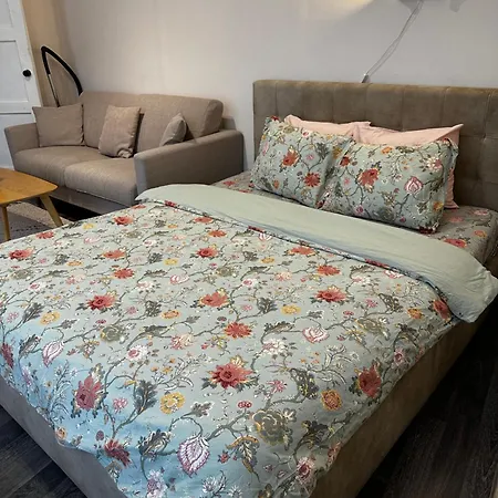 Apartment 1 Bedroom Near Kadriorg Swan Pond Tallinn