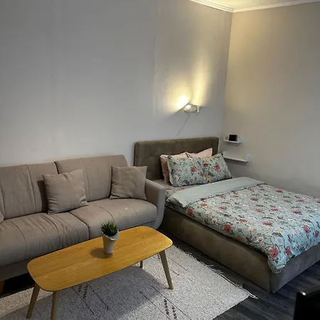 1 Bedroom Near Kadriorg Swan Pond Apartment