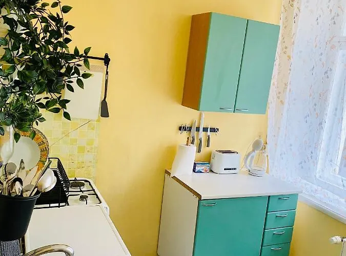 Apartament 1 Bedroom Near Kadriorg Swan Pond